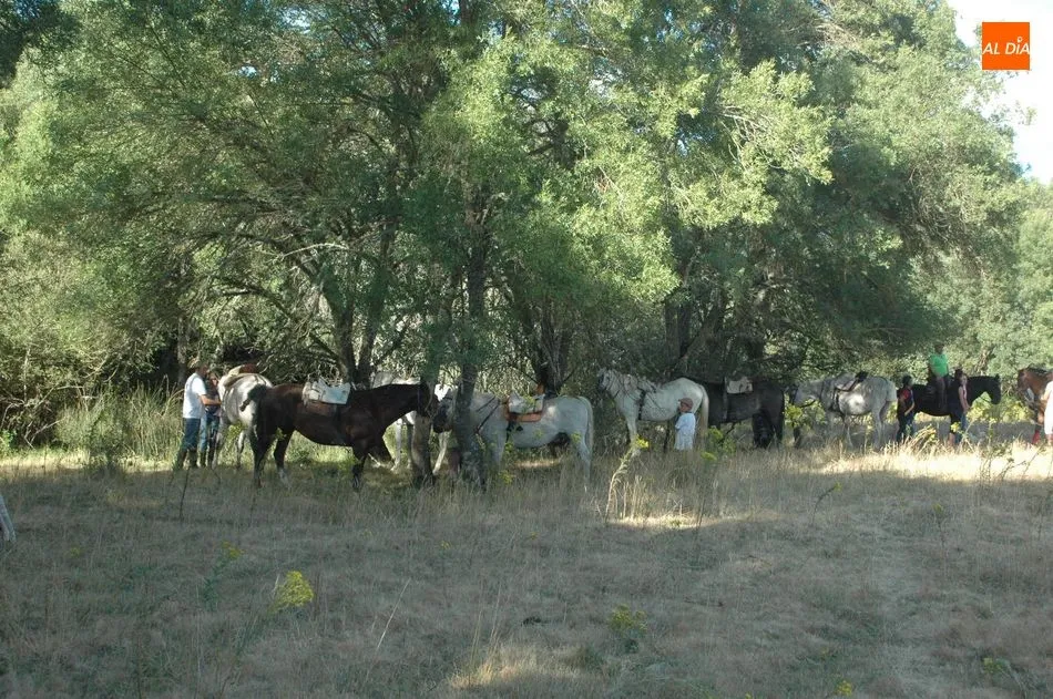 Foto 9 - Los vecinos de Valderrodrigo celebran el 115&ordm; aniversario de la fiesta del Torito Perdig&oacute;n  