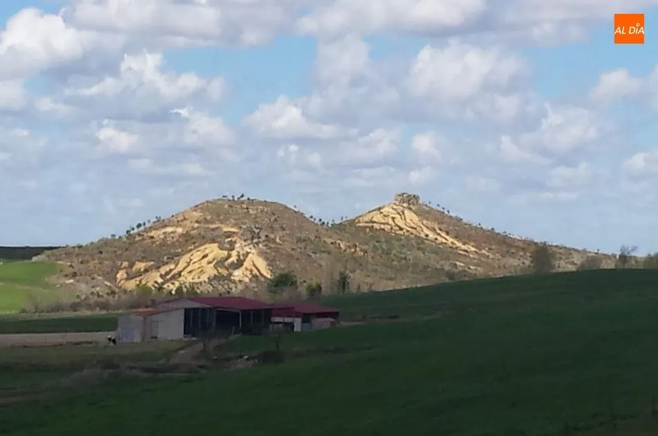 Foto 3 - El Arapil de Amatos, nueva asociaci&oacute;n cultural en la Tierra de Alba