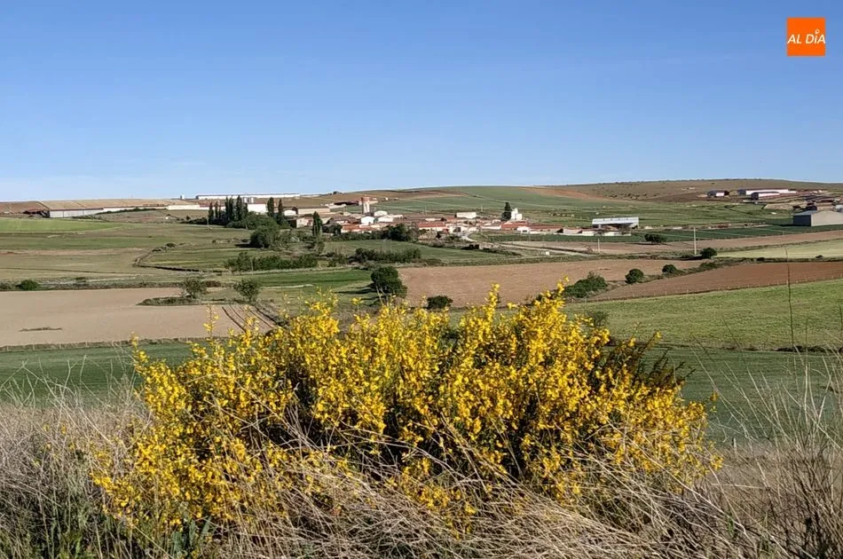 Foto 2 - El Arapil de Amatos, nueva asociaci&oacute;n cultural en la Tierra de Alba