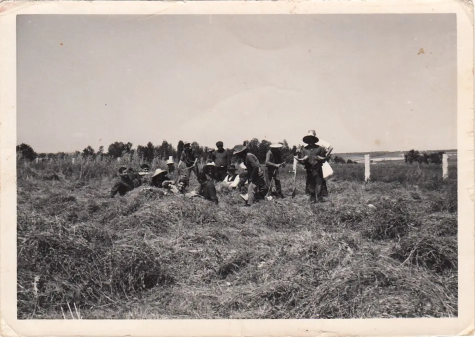 	Foto antigua de segadores recogida en Navales