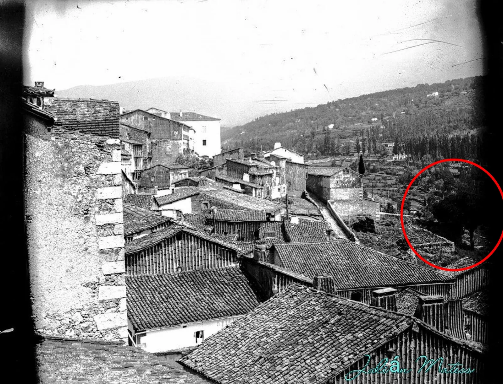 Foto 2 - Mientras unas 115 obras de la colecci&oacute;n de Gernstenmaier est&aacute;n pendientes de destino, El Pino de...
