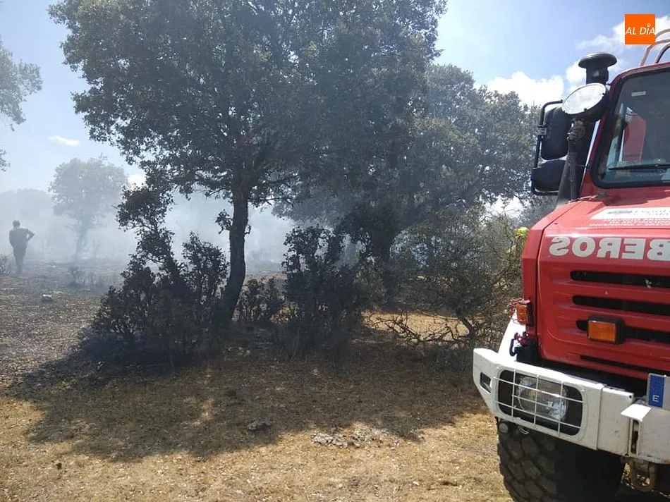 Foto 2 - Sofocado un incendio forestal en Berrocal de Salvatierra