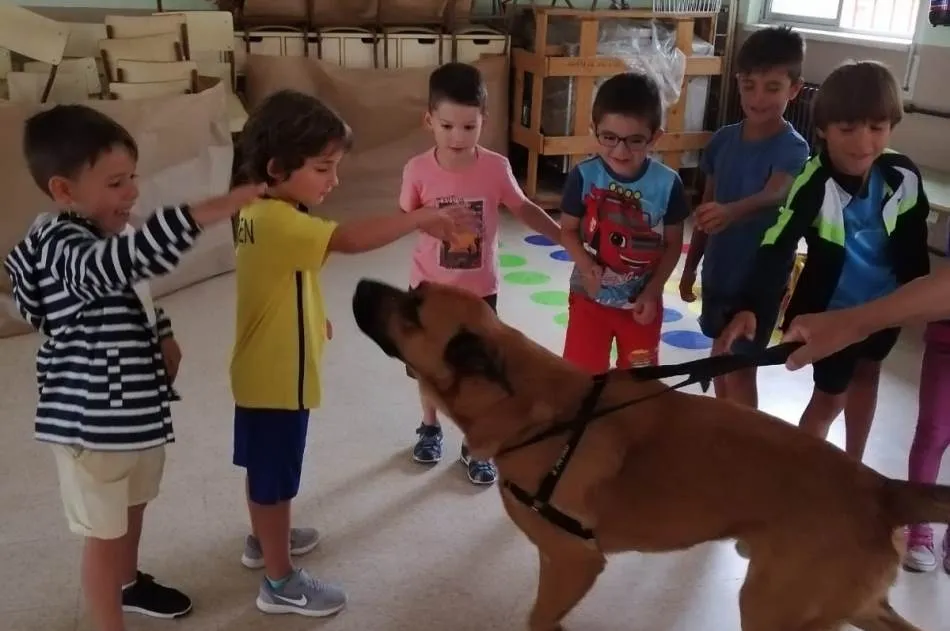 Conciliamos abre su última semana conociendo dos perros de rescate  