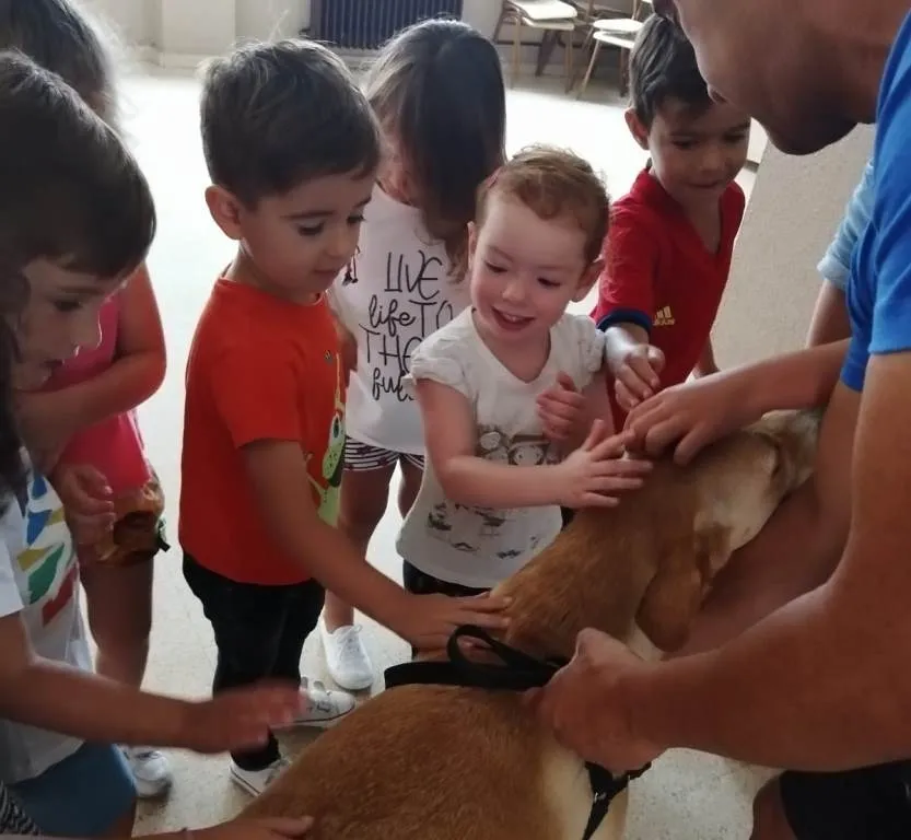 Foto 11 - Conciliamos abre su &uacute;ltima semana conociendo dos perros de rescate  