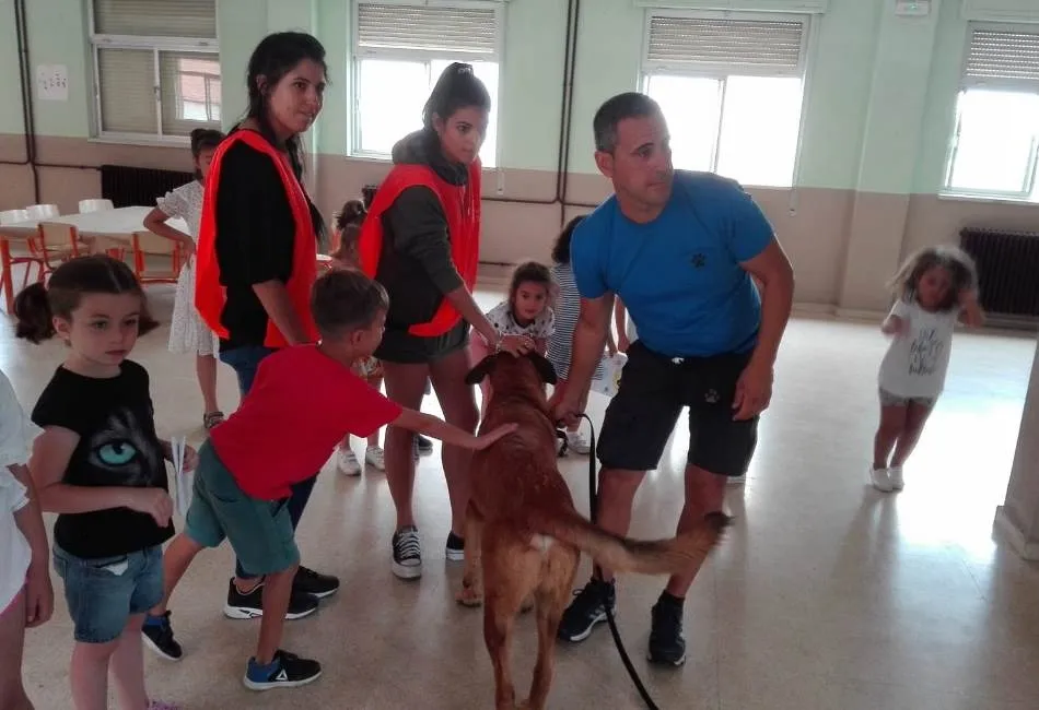 Foto 8 - Conciliamos abre su &uacute;ltima semana conociendo dos perros de rescate  