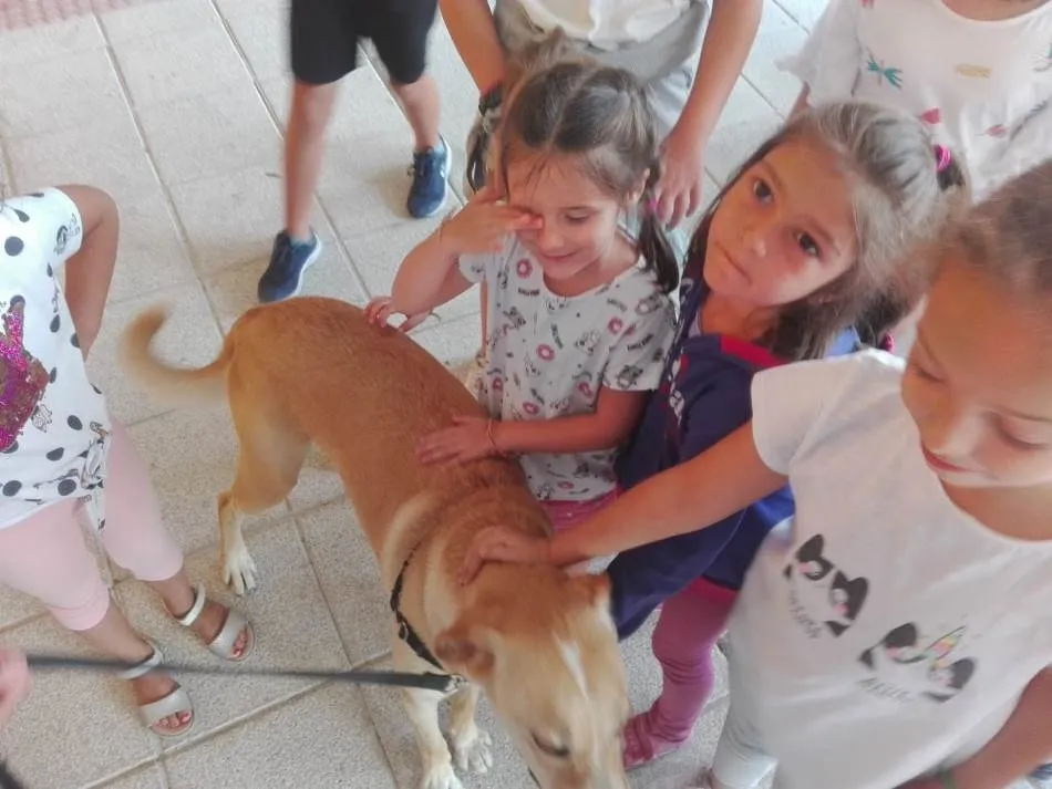 Foto 9 - Conciliamos abre su &uacute;ltima semana conociendo dos perros de rescate  