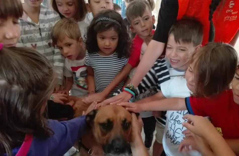 Foto 6 - Conciliamos abre su &uacute;ltima semana conociendo dos perros de rescate  