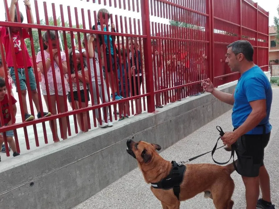 Foto 3 - Conciliamos abre su &uacute;ltima semana conociendo dos perros de rescate  