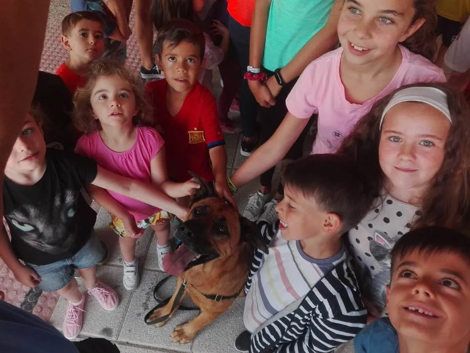 Foto 4 - Conciliamos abre su &uacute;ltima semana conociendo dos perros de rescate  