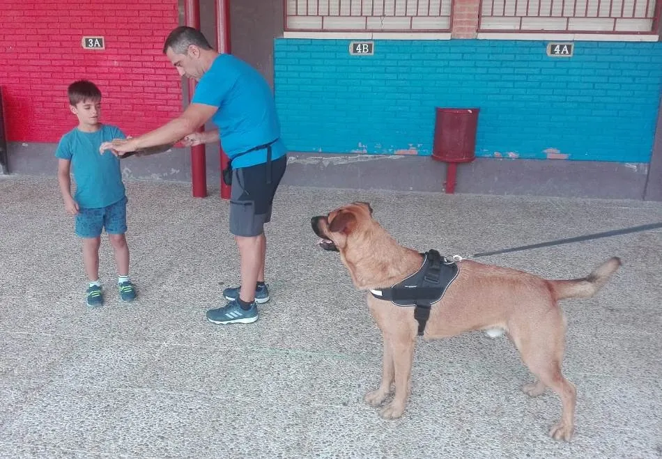 Foto 2 - Conciliamos abre su &uacute;ltima semana conociendo dos perros de rescate  