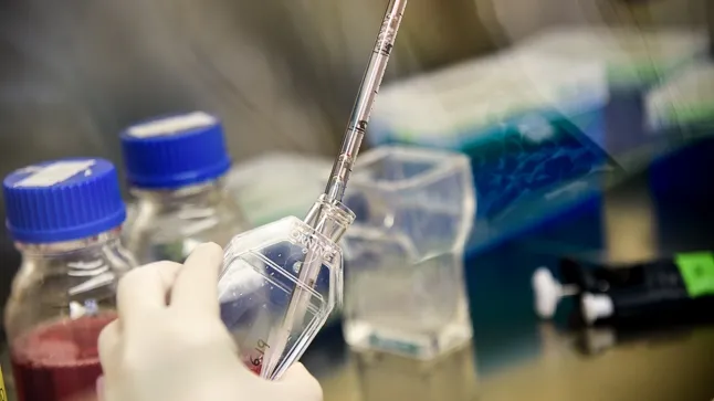 La USAL ha conseguido el sello de calidad ‘Human Resources Excellence in Research’ / USAL