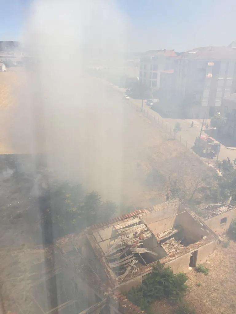 Foto 2 - Los Bomberos sofocan un incendio en el Camino del Cementerio  