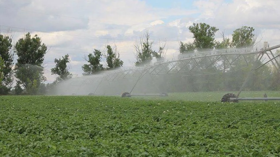 El Gobierno cree que el impulso del regadío es clave para la sostenibilidad socioeconómica del...