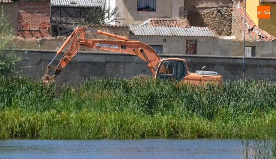 Foto 9 - En marcha una operaci&oacute;n de limpieza de la ribera del &Aacute;gueda anexa al muro de contenci&oacute;n del...