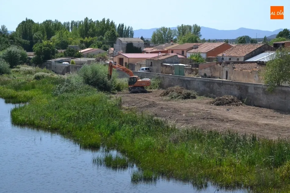 Foto 8 - En marcha una operaci&oacute;n de limpieza de la ribera del &Aacute;gueda anexa al muro de contenci&oacute;n del...