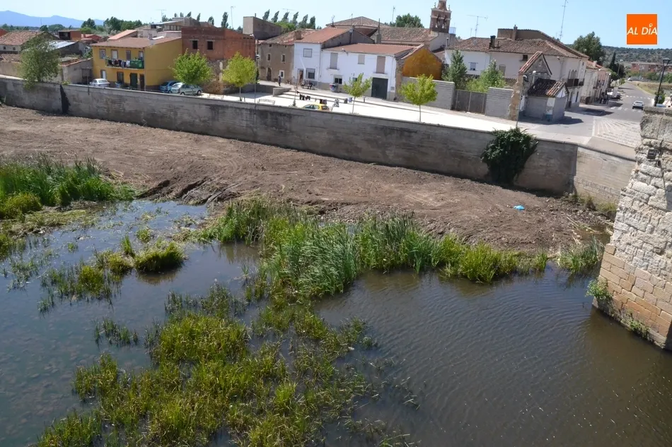 Foto 4 - En marcha una operaci&oacute;n de limpieza de la ribera del &Aacute;gueda anexa al muro de contenci&oacute;n del...
