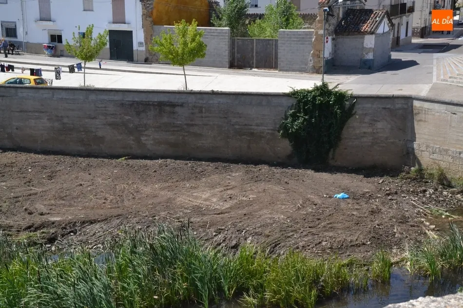 Foto 5 - En marcha una operaci&oacute;n de limpieza de la ribera del &Aacute;gueda anexa al muro de contenci&oacute;n del...