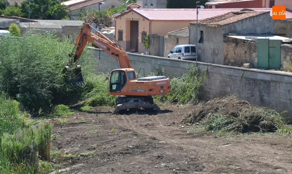 Foto 7 - En marcha una operaci&oacute;n de limpieza de la ribera del &Aacute;gueda anexa al muro de contenci&oacute;n del...