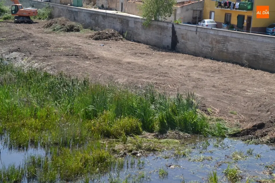 Foto 3 - En marcha una operaci&oacute;n de limpieza de la ribera del &Aacute;gueda anexa al muro de contenci&oacute;n del...