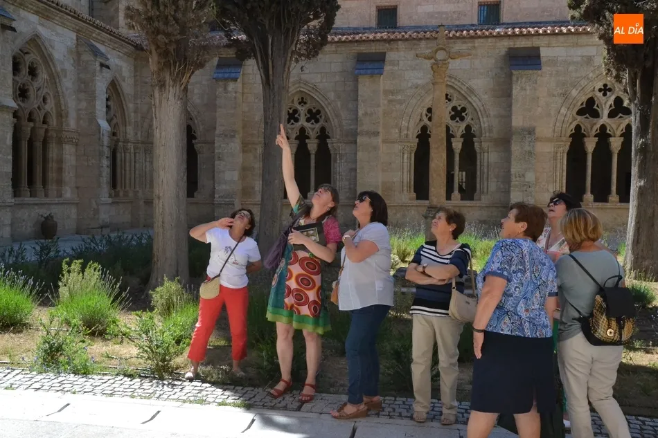 La Catedral mantendrá las puertas abiertas para diocesanos los primeros martes de cada mes  