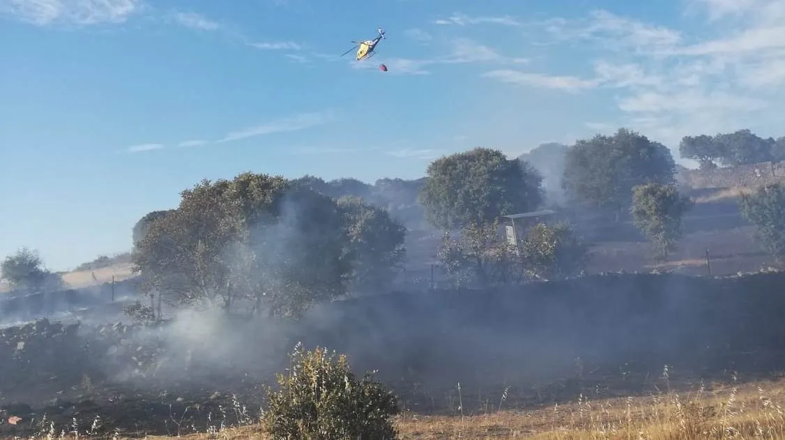 Las llamas calcinan 0,38 hectáreas de pasto en Herguijuela de Ciudad Rodrigo  
