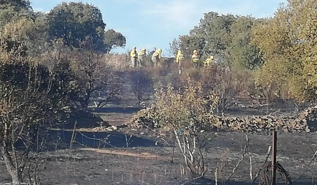 Foto 3 - Las llamas calcinan 0,38 hect&aacute;reas de pasto en Herguijuela de Ciudad Rodrigo  
