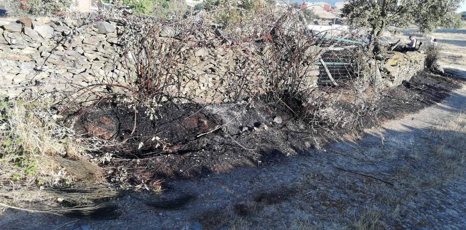 Foto 4 - Las llamas calcinan 0,38 hect&aacute;reas de pasto en Herguijuela de Ciudad Rodrigo  