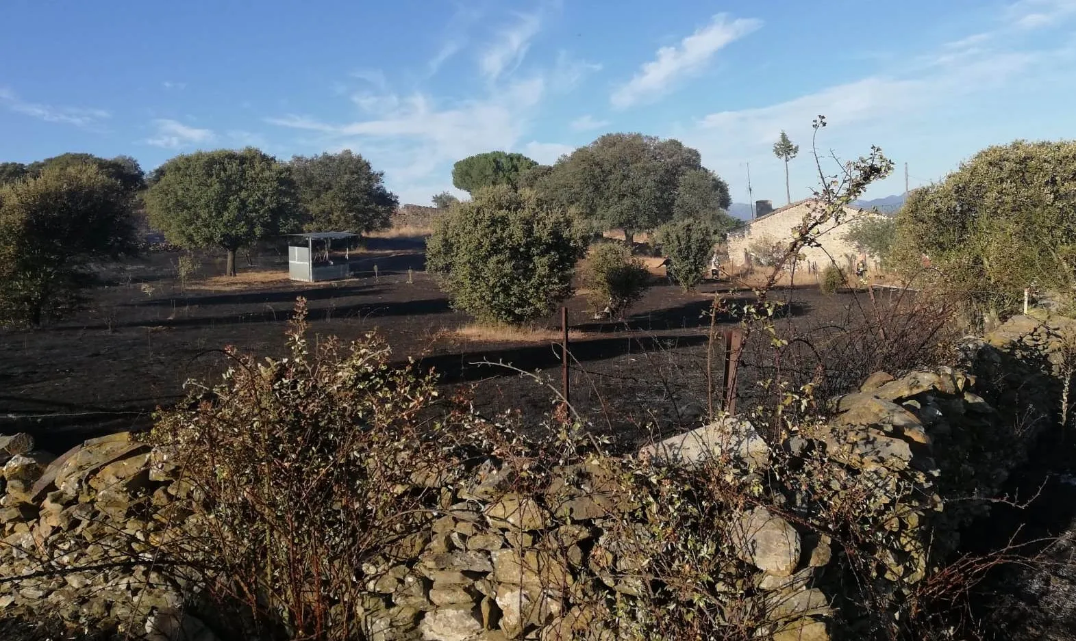 Foto 2 - Las llamas calcinan 0,38 hect&aacute;reas de pasto en Herguijuela de Ciudad Rodrigo  