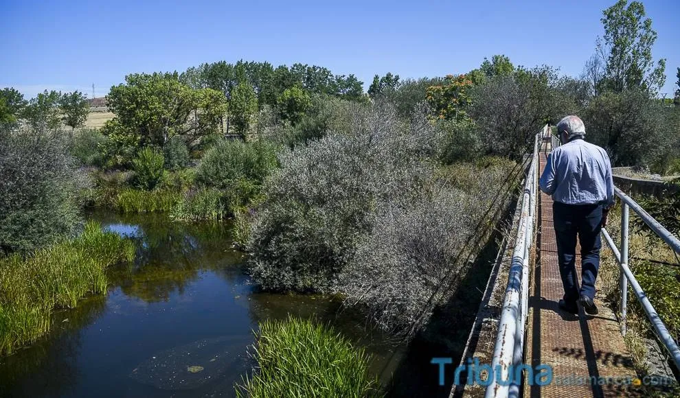 Foto 4 - Un paseo a la vera del Tormes