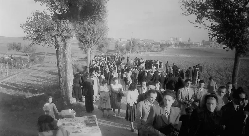 Foto 2 - La avenida de los Maristas, antiguo Camino del Cementerio