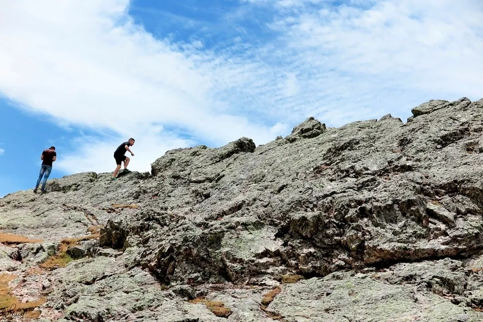 Indiferencia o iniciativa