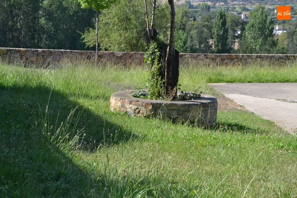 Foto 10 - C&rsquo;S denuncia que el PP hace mucho hincapi&eacute; en algunas zonas verdes y tiene otras abandonadas