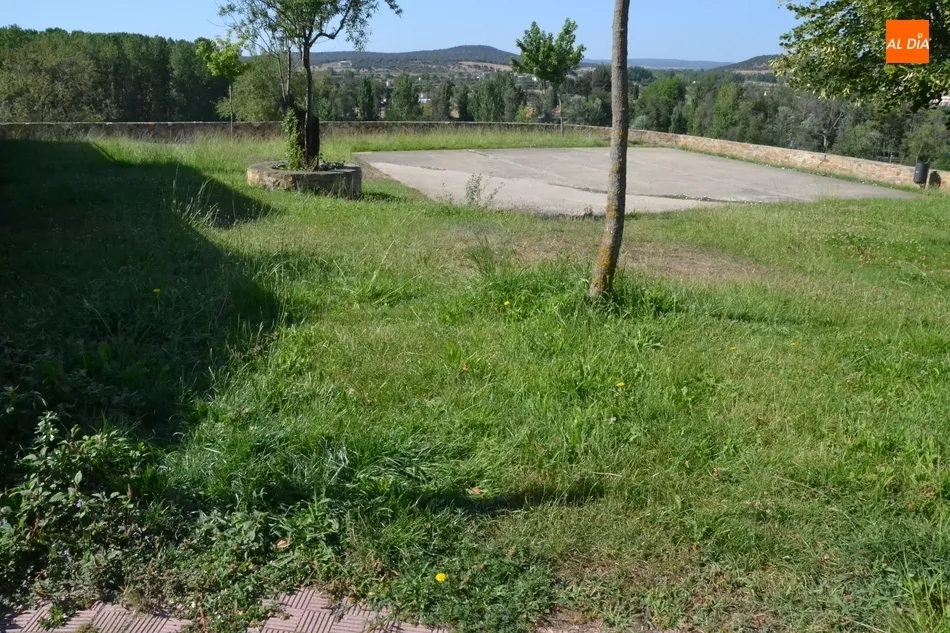 Foto 11 - C&rsquo;S denuncia que el PP hace mucho hincapi&eacute; en algunas zonas verdes y tiene otras abandonadas