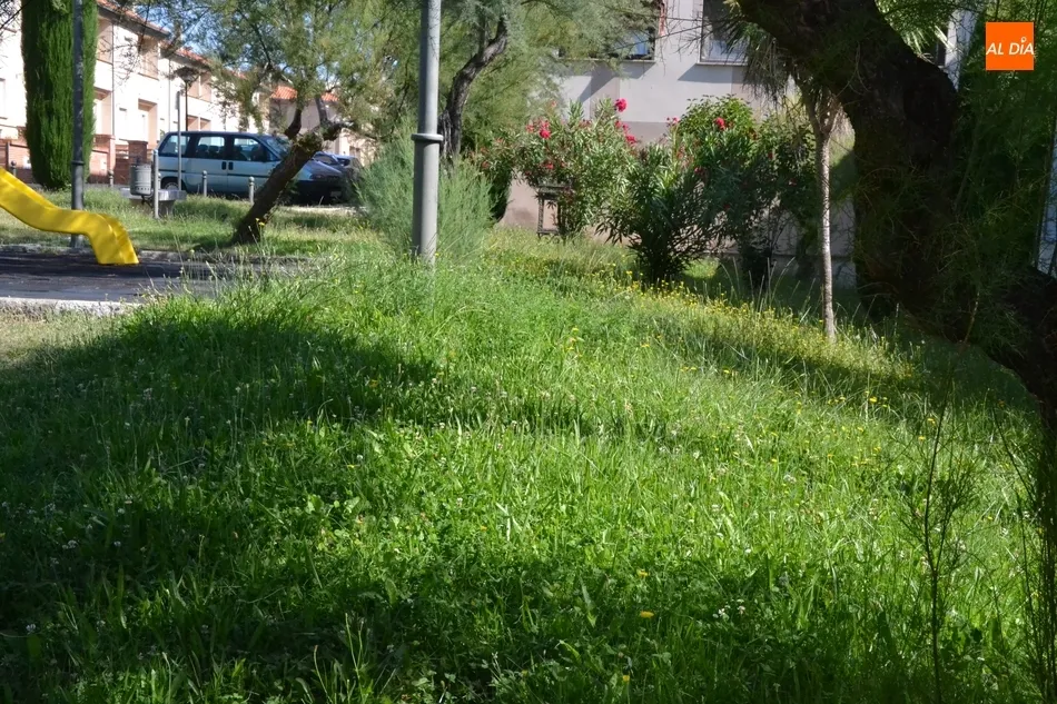 Foto 3 - C&rsquo;S denuncia que el PP hace mucho hincapi&eacute; en algunas zonas verdes y tiene otras abandonadas