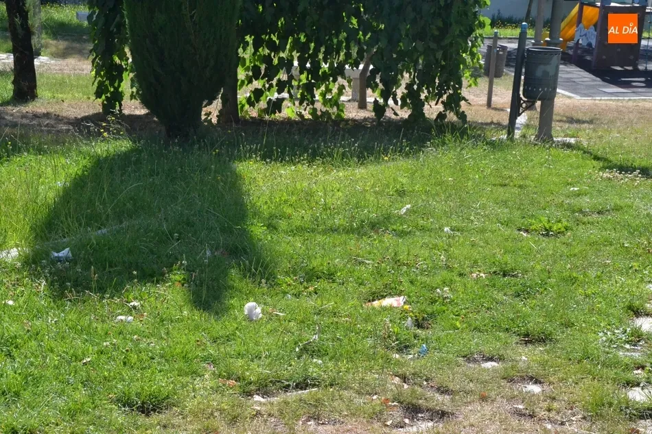 Foto 2 - C&rsquo;S denuncia que el PP hace mucho hincapi&eacute; en algunas zonas verdes y tiene otras abandonadas