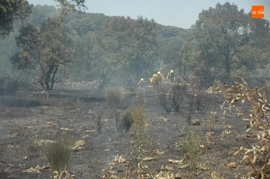 Foto 11 - Medios terrestres y a&eacute;reos controlan un violento incendio en Bogajo  