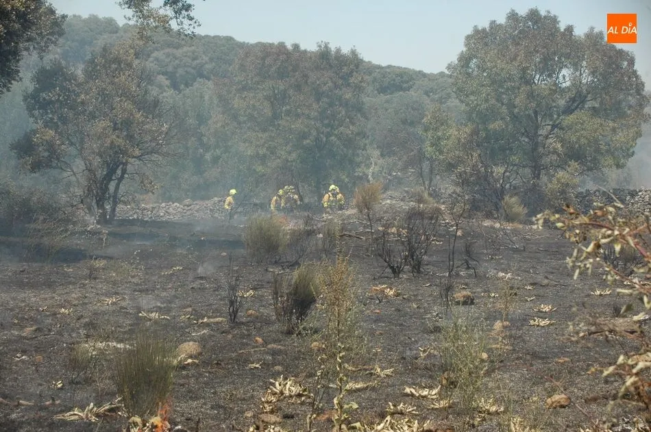 Foto 10 - Medios terrestres y a&eacute;reos controlan un violento incendio en Bogajo  