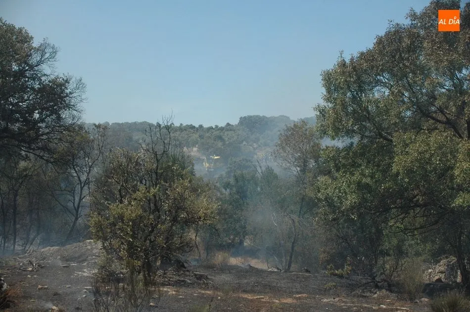Foto 9 - Medios terrestres y a&eacute;reos controlan un violento incendio en Bogajo  