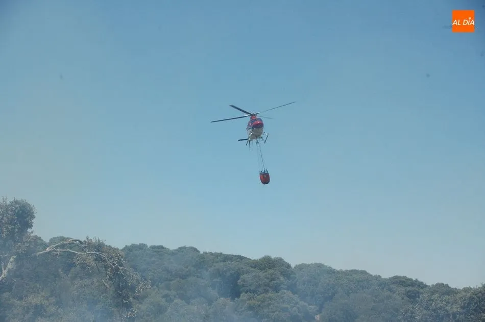 Foto 7 - Medios terrestres y a&eacute;reos controlan un violento incendio en Bogajo  