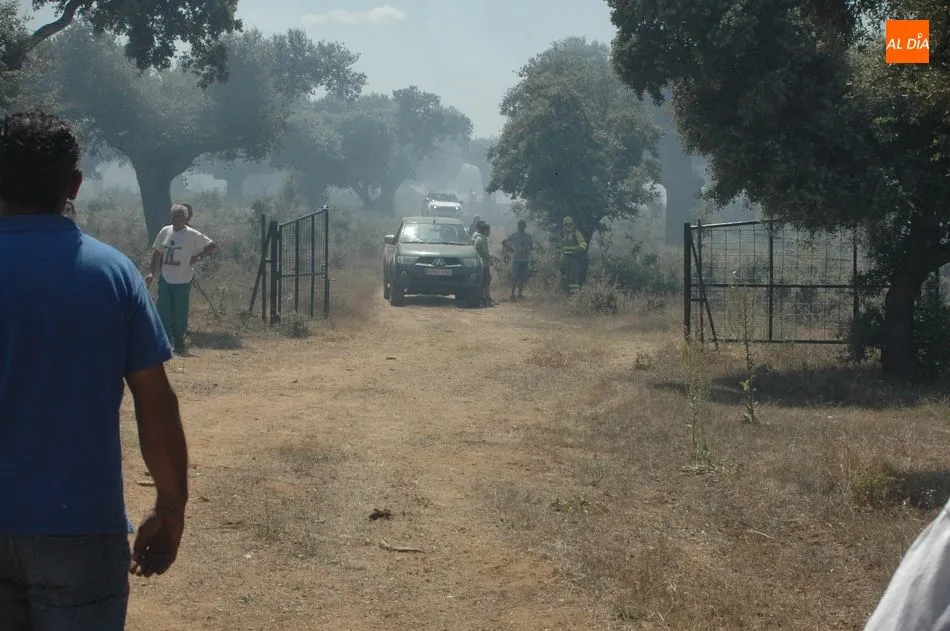 Foto 4 - Medios terrestres y a&eacute;reos controlan un violento incendio en Bogajo  