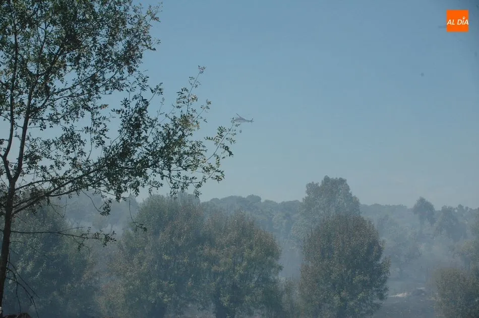 Foto 3 - Medios terrestres y a&eacute;reos controlan un violento incendio en Bogajo  