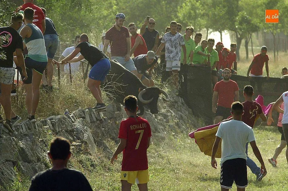 La 6ª Fiesta Juvenil de La Santeña incluirá la suelta de un toro  