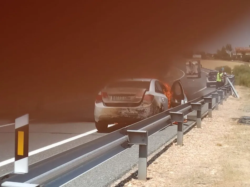 Foto 3 - Arde un veh&iacute;culo en la autov&iacute;a A-66 a la altura de Bele&ntilde;a