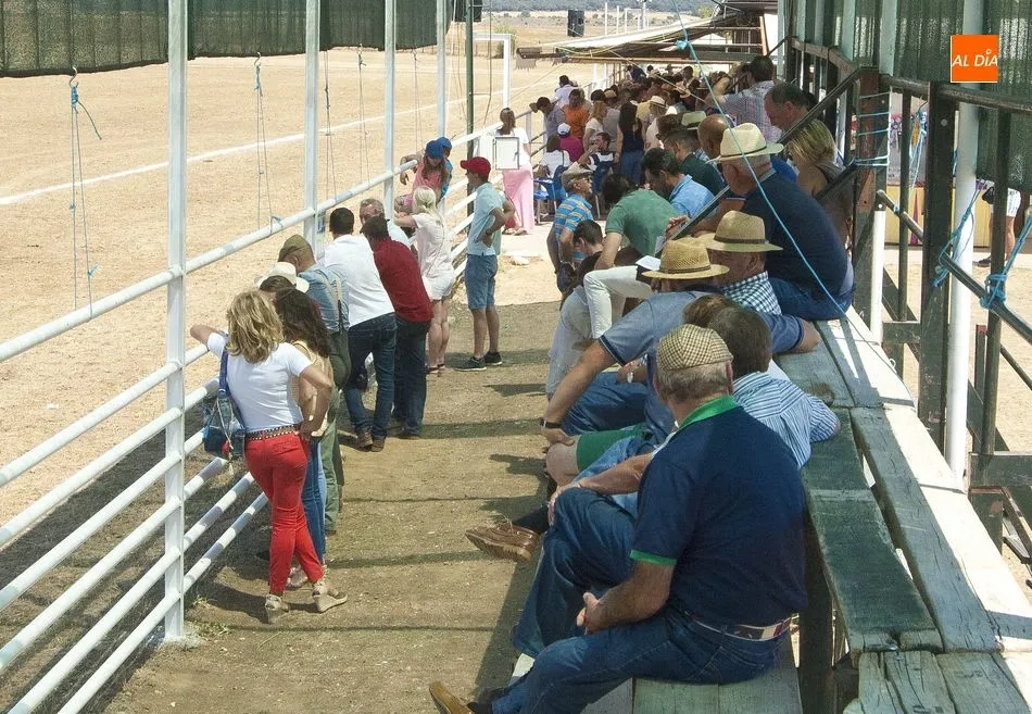 Foto 11 - Seis colleras finalizan empatadas en cabeza la 1&ordf; jornada del Concurso de Acoso y Derribo m&aacute;s...