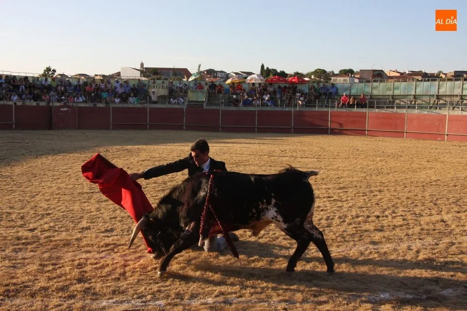 Foto 5 - Buena tarde toros en Peralejos de Abajo a beneficio de Aspace  
