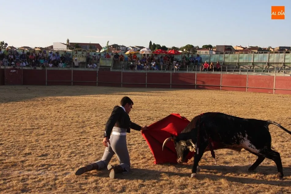 Foto 4 - Buena tarde toros en Peralejos de Abajo a beneficio de Aspace  