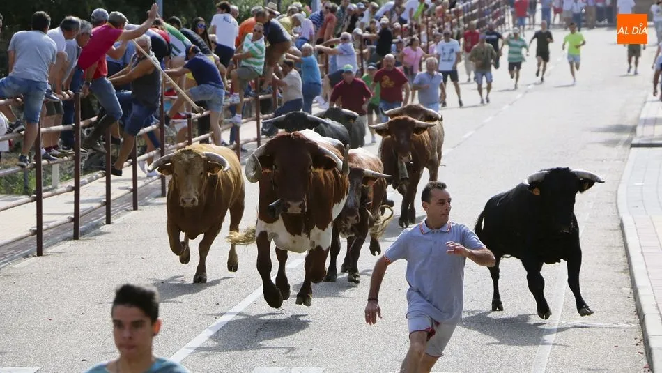 Los encierros son uno de los principales reclamos de estas fiestas / CORRAL