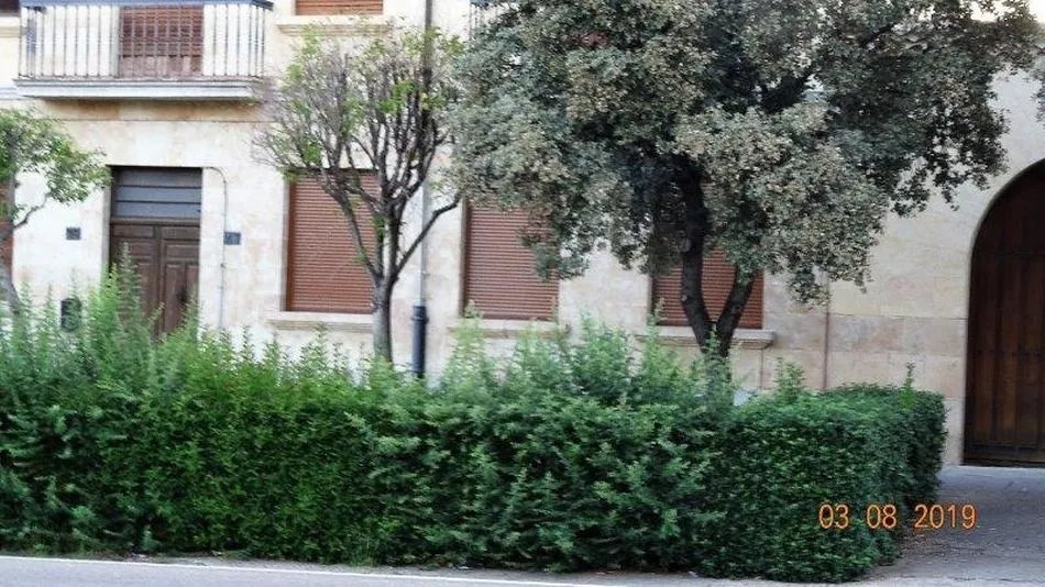 Foto 7 - La asociaci&oacute;n Comit&eacute; Antinuclear y Ecologista considera un &ldquo;despilfarro&rdquo; la renovaci&oacute;n de...