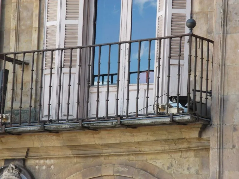 Foto 7 - Ciudadanos por la Defensa del Patrimonio pide revisar el Plan Director de la Plaza Mayor para su...