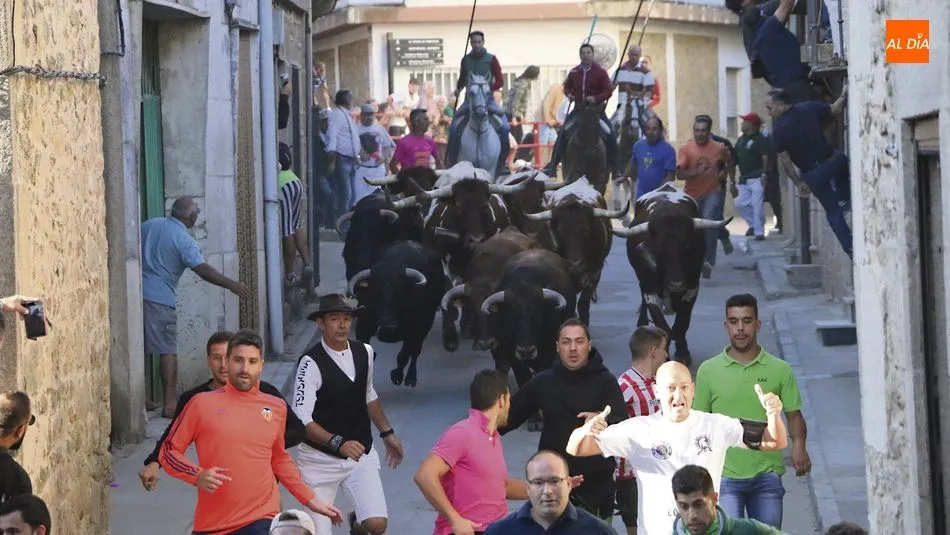 Miles de personas acuden cada día a los encierros a caballo de Aldeadávila de la Ribera / CORRAL